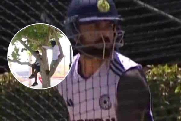 Fans spotted climbing trees to catch a glimpse of Virat Kohli in the India nets in Perth [WATCH]