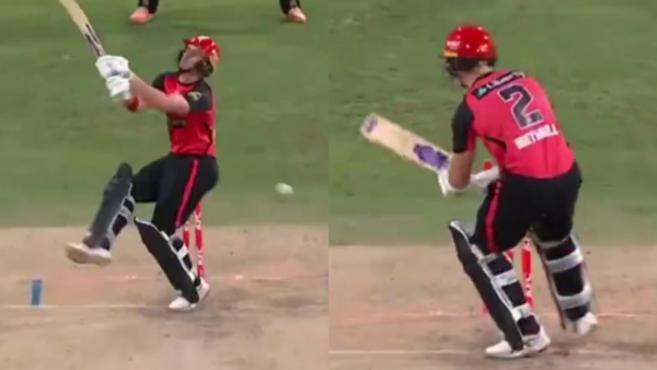 Brain Fade Moment for RCB Batter! Misses a Full-Toss To Lose His Stumps in Big Bash League [WATCH]