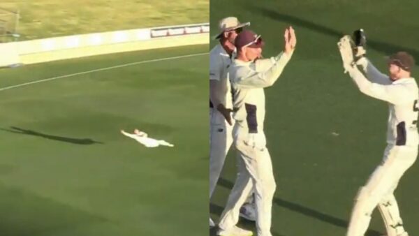 ‘Catch Of a Lifetime’ : Australia Player Takes One-handed Diving Catch During Sheffield Shield [WATCH]