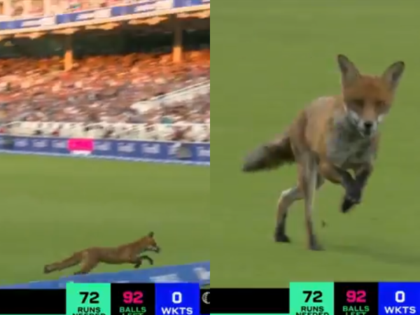 Bizarre Incident on Opening Day of The Hundred 2025, Fox Interrupts Match At Lord’s [WATCH]
