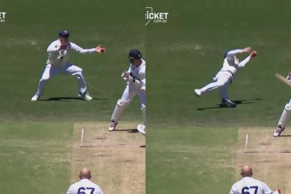 Steve Smith Pulls Off Another Magnificent One-Handed Stunner in Sheffield Shield [WATCH]
